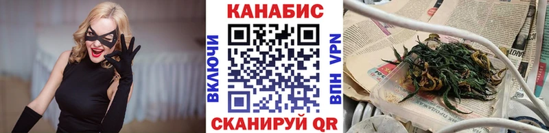 Каннабис индика Миньяр